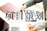 项目策划书