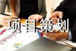 项目策划书格式