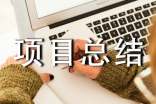 项目总结报告表格