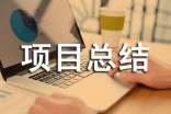 it项目总结报告