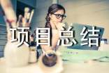 sem项目总结怎么写