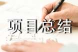 (热)it项目总结报告15篇