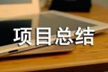 项目总结范文