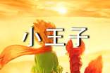 【精】《小王子》读后感15篇