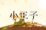 《小王子》读书心得【热门】