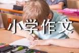 精选介绍自己小学作文300字10篇
