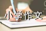 有关传统文化的小学作文300字汇编九篇
