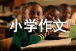 小学作文信任的喜悦