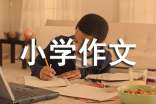 [精]书包小学作文