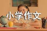 【热门】美丽小学作文600字4篇