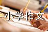 小学作文300字