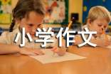 【推荐】中国传统文化小学作文300字四篇