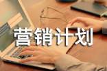 年度营销计划书范文