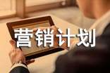 营销计划书