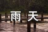 雨天随笔600字