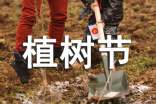 植树节活动方案（通用23篇）