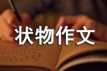 【实用】状物作文集合9篇