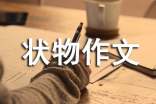 【实用】状物作文300字集合七篇