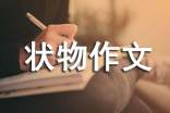 关于状物作文300字集锦五篇