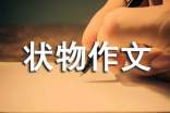 失狗事件状物作文