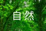 大自然的作文300字(大全4篇)