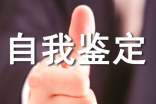 工作中的自我鉴定