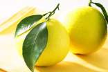 柚子功效与作用
