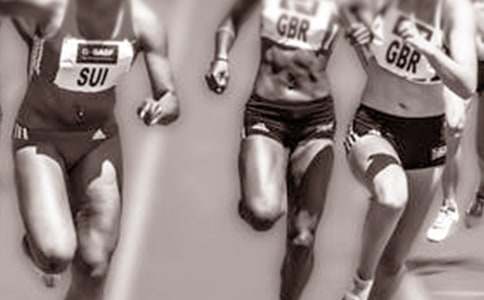 奥运会动物比赛作文