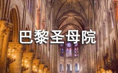 电影电影巴黎圣母院观后感范文