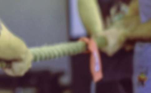 拔河比赛活动策划书15篇