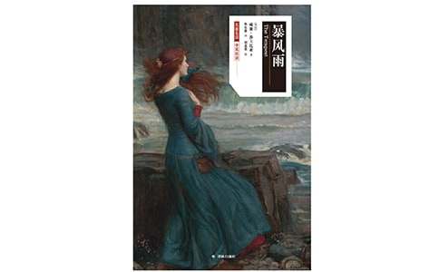 《暴风雨》教案