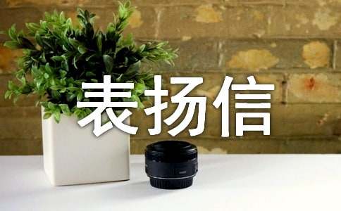 表扬服务员的表扬信七篇