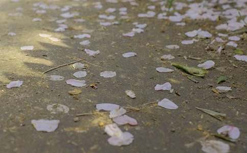 （优）下冰雹作文15篇