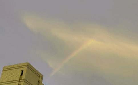 我的青春有风雨彩虹作文