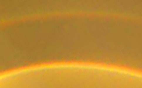 《彩虹鸽》读后感15篇