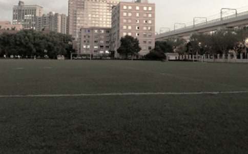 初中生操场乱扔垃圾检讨书