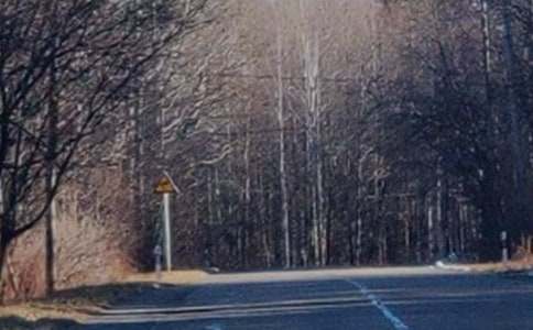 长白山的导游词