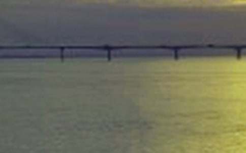 保护长江的倡议书[通用15篇]