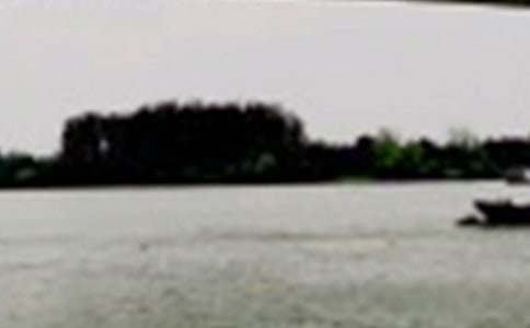 西陵长江大桥导游词