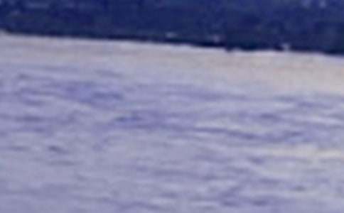 保护长江的倡议书(15篇)