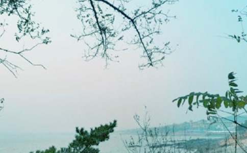 我的青春风采作文