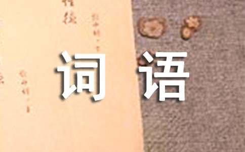 皮草皮衣宣传广告词语160个