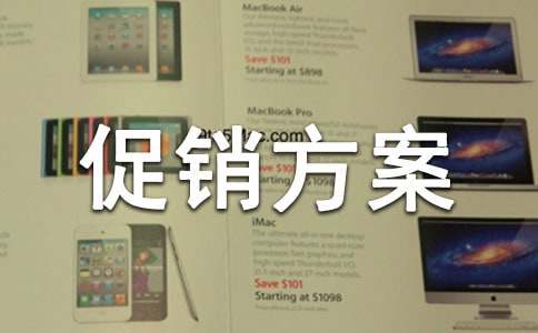 实用的促销方案(精)