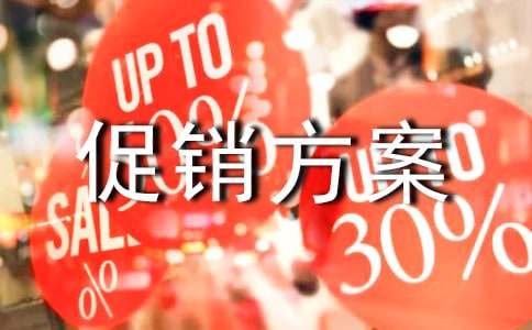 实用的促销方案(汇总4篇)