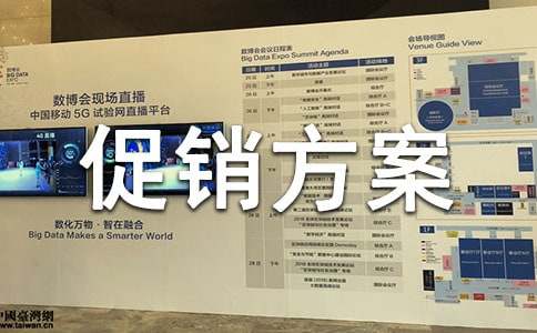 实用的促销方案（经典）