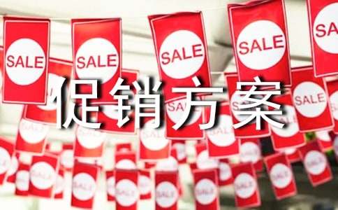 [推荐]实用的促销方案