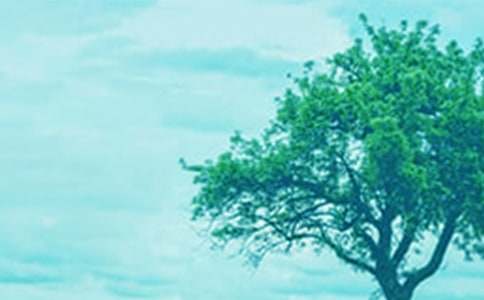 小草和大树读后感[精品]