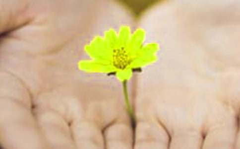 关于英文道歉信七篇