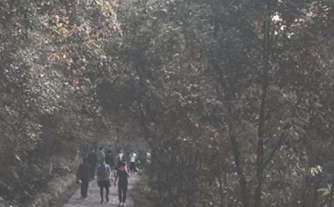 [实用]登山活动方案