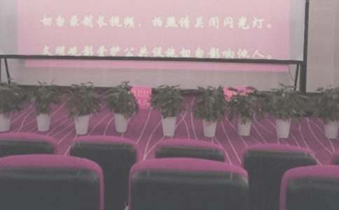 电影院个人年度总结